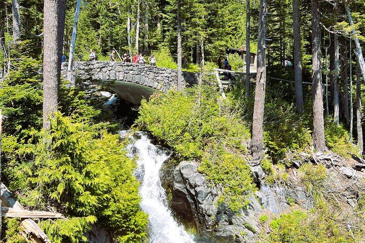 Mount Rainier Customized Tour from Seattle