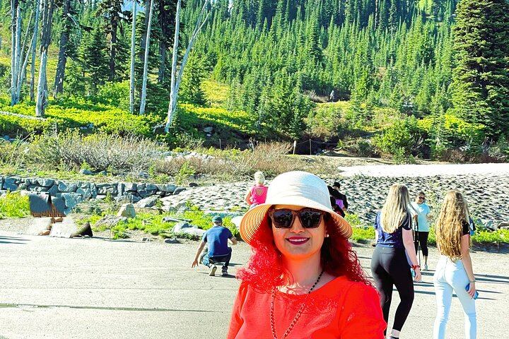 Mount Rainier Customized Tour from Seattle