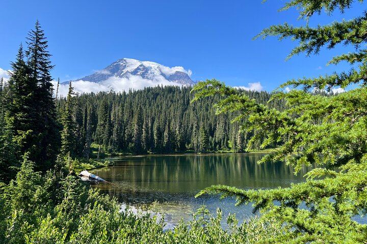 Mount Rainier Customized Tour from Seattle
