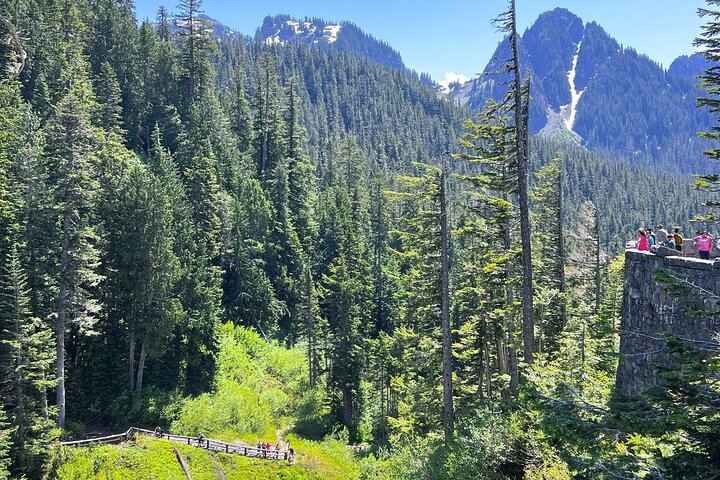 Mount Rainier Customized Tour from Seattle