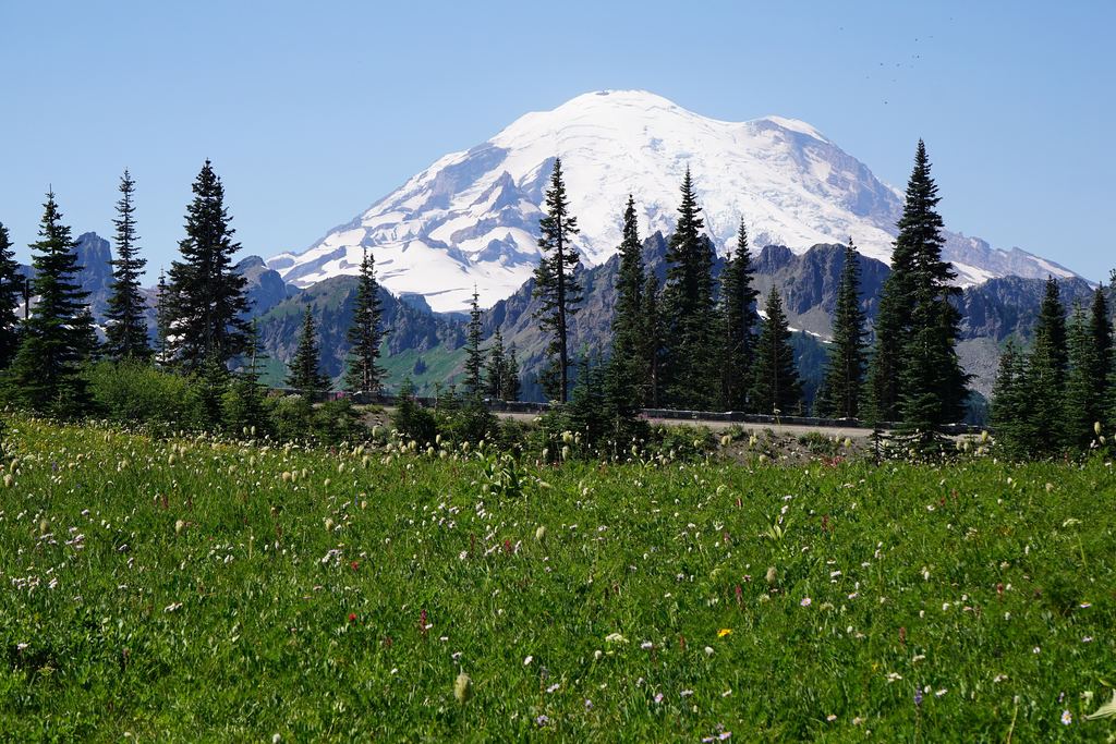 The glaciated cone of Mount Rainier reflected in Tipsoo Lake near Chinook Pass, Washington