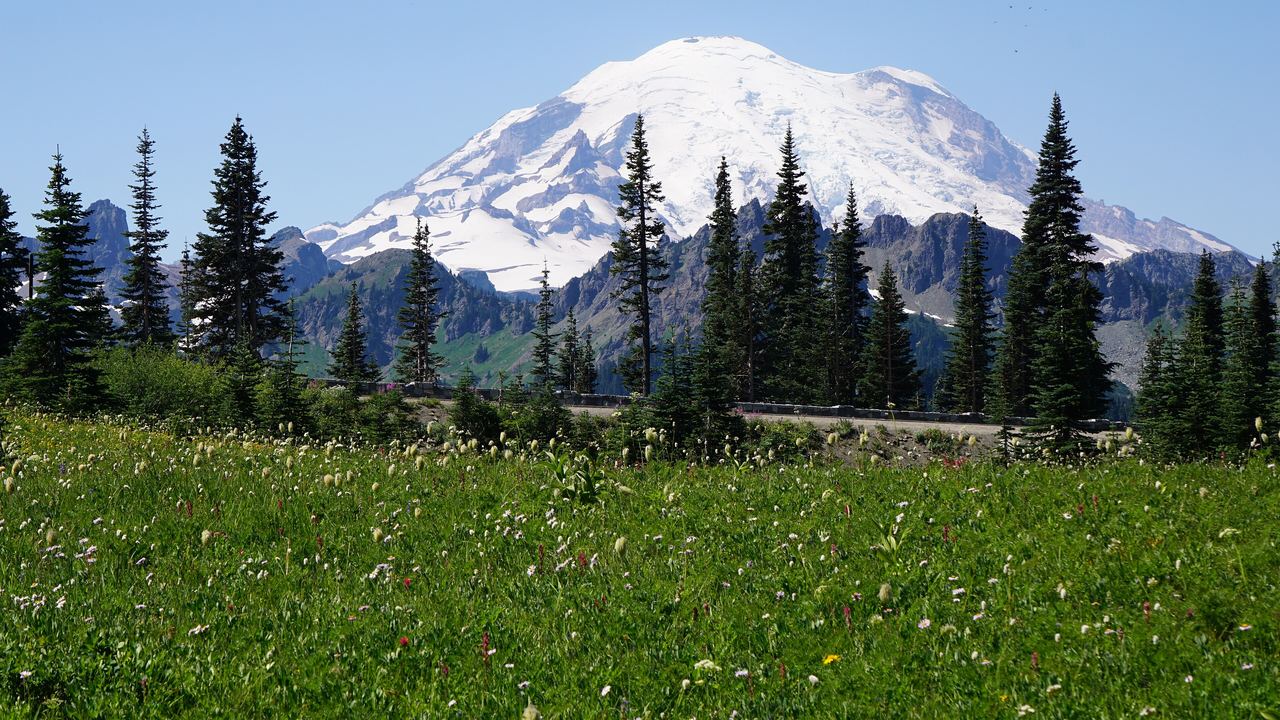 The glaciated cone of Mount Rainier reflected in Tipsoo Lake near Chinook Pass, Washington