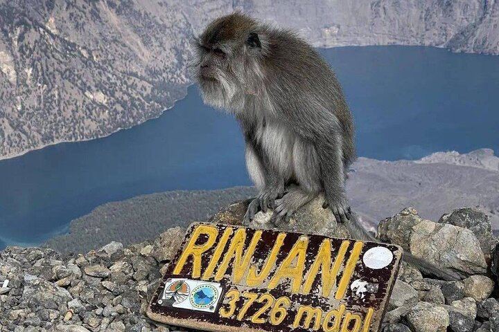 Mount Rinjani Hiking to summit( 2 Days 1 Night )