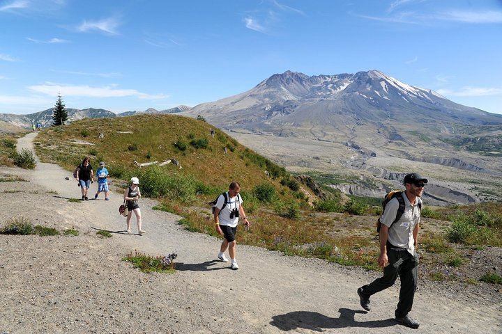Mount St Helens walkabout!