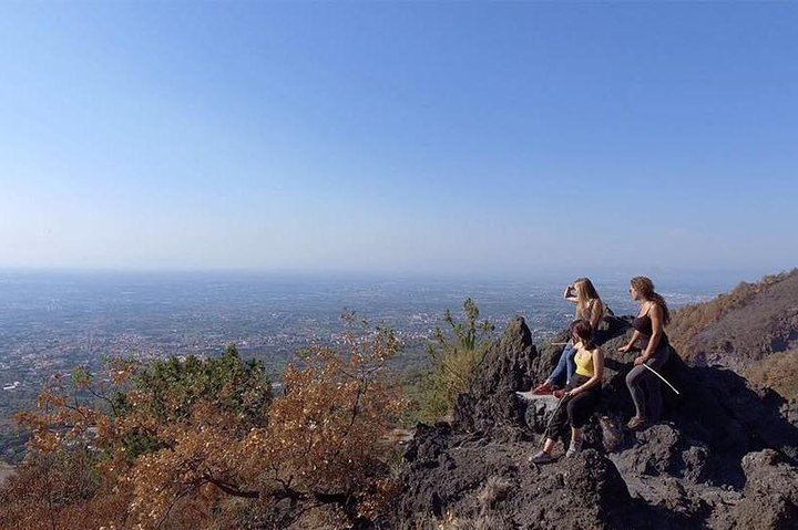 Mount Vesuvius Guided Horse Riding Tour with Sample Wine