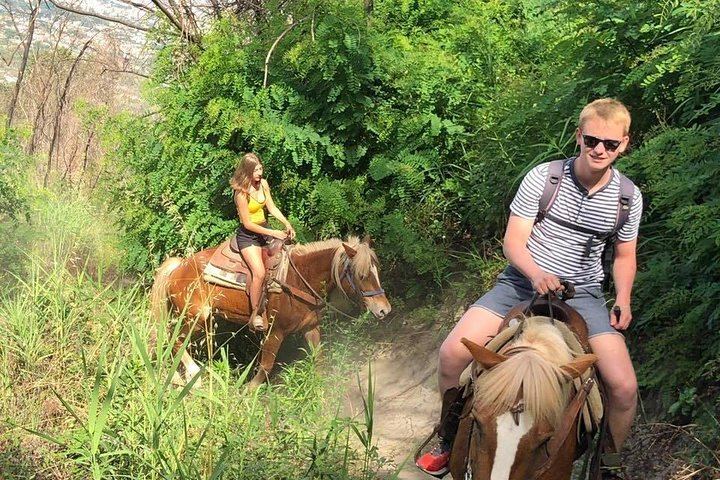 Mount Vesuvius Guided Horse Riding Tour with Sample Wine