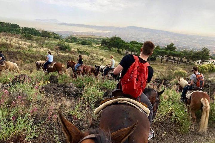 Mount Vesuvius Guided Horse Riding Tour with Sample Wine