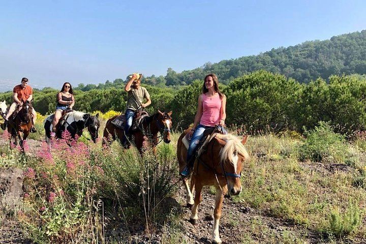 Mount Vesuvius Guided Horse Riding Tour with Sample Wine