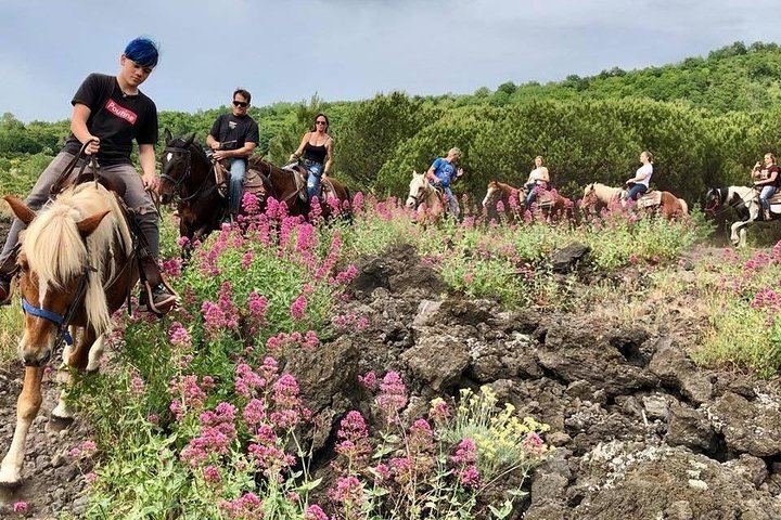 Mount Vesuvius Guided Horse Riding Tour with Sample Wine