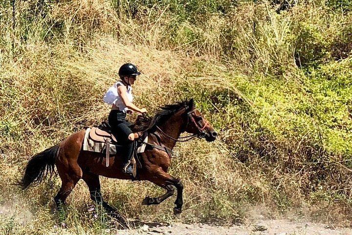 Mount Vesuvius Guided Horse Riding Tour with Sample Wine