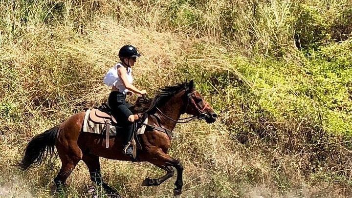 Mount Vesuvius Guided Horse Riding Tour with Sample Wine