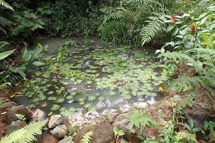Moving water lagoon in open areas