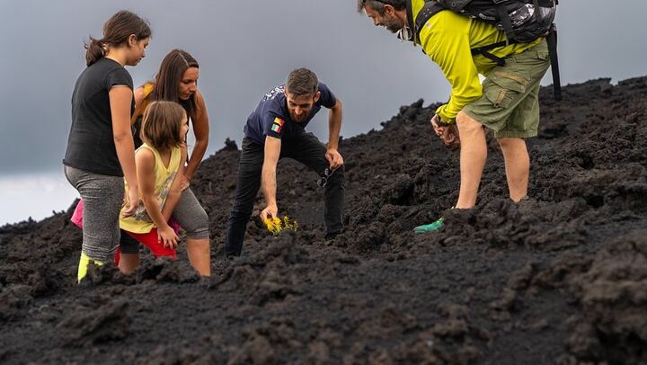 Mt Etna and Wine tasting tour from Catania