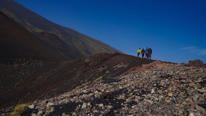 Mt. Etna nature and flavors half day Tour from Catania
