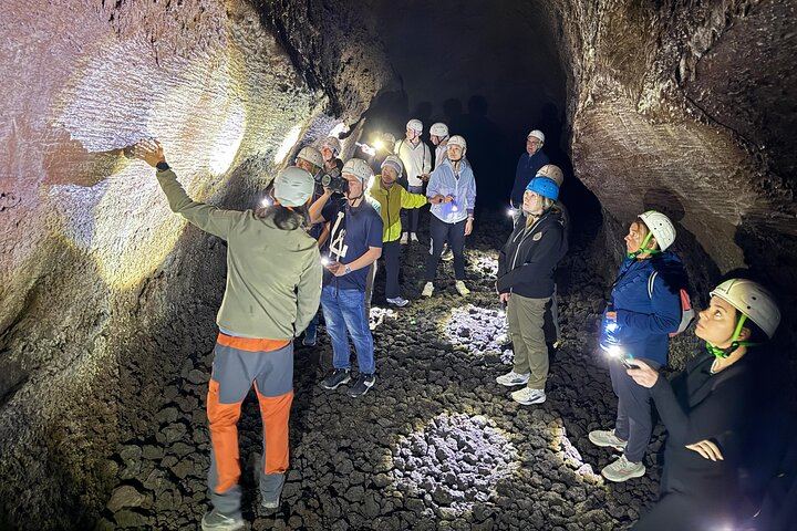 Mt. Etna nature and flavors half day Tour from Catania