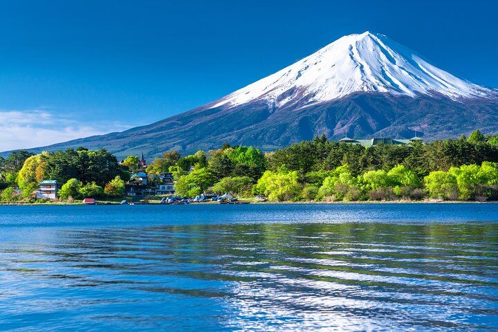 Mt. Fuji and the surrounding summer greenery from across Lake Kawaguchiko.