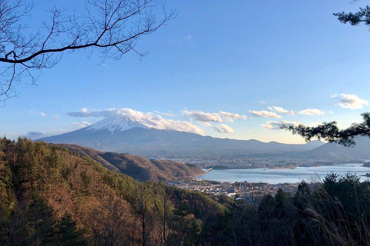 Mt Fuji Area Private Guided Tours in English-Nature up close, quiet, personal