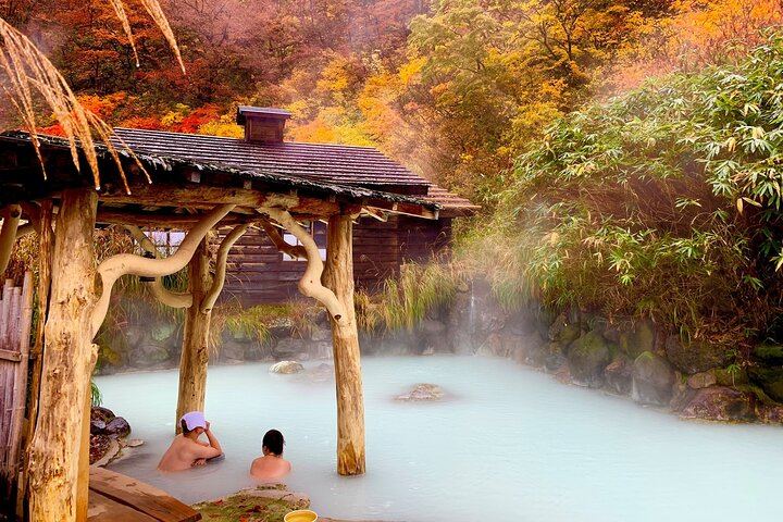 Mt. Fuji, Hakone Private Tour from Tokyo - Onsen, Arts and Nature