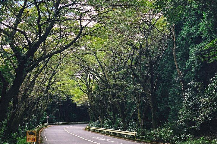 Mt. Fuji, Hakone Private Tour from Tokyo - Onsen, Arts and Nature