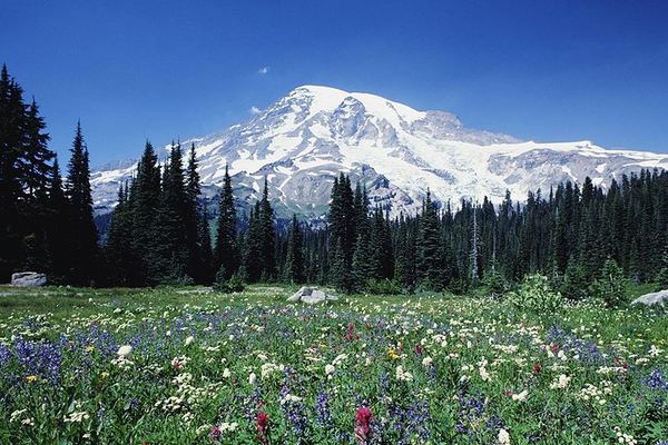 Mount Rainier with No Minimum Group Size: the Tour Runs Whatever the Numbers