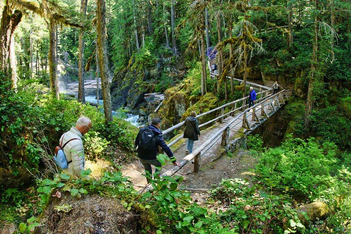 Mt. Rainier Day Tour from Seattle
