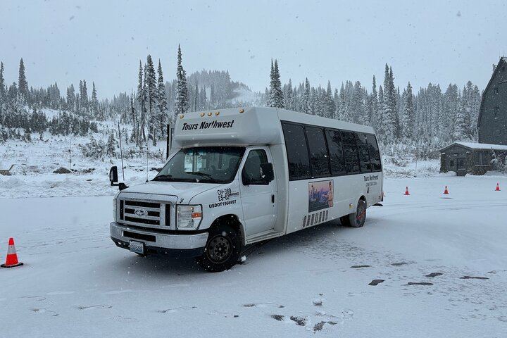 Mt. Rainier Day Tour from Seattle