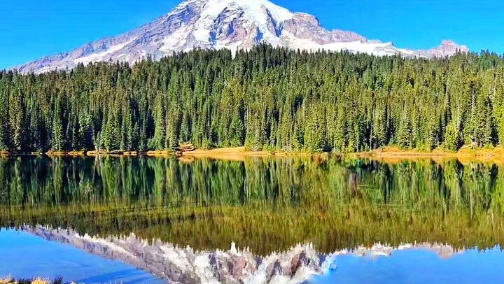 Mt. Rainier National Park Seattle 1-Day Small Group In-Depth Tour