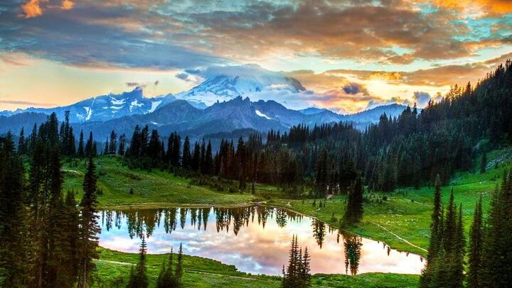 Mt. Rainier National Park Seattle 1-Day Small Group In-Depth Tour