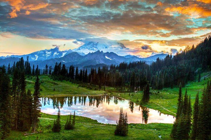 Mt. Rainier National Park Seattle 1-Day Small Group In-Depth Tour