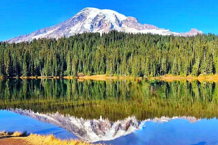 Mt. Rainier National Park Seattle 1-Day Small Group In-Depth Tour