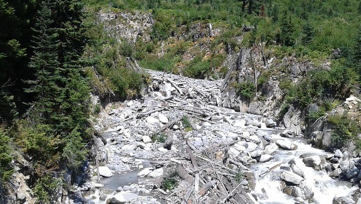 Mt Rainier Private Tour Experience in SUV