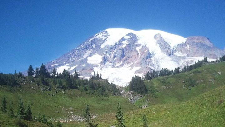 Mt Rainier Private Tour Experience in SUV