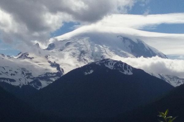 Private SUV Around Mount Rainier: the Full Circuit, Four Walking Stops