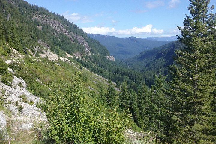Mt Rainier Private Tour Experience in SUV
