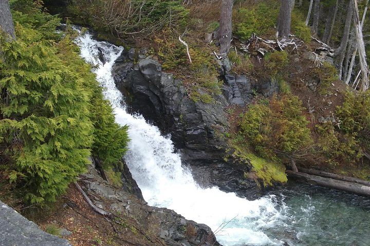 Mt Rainier Private Tour Experience in SUV