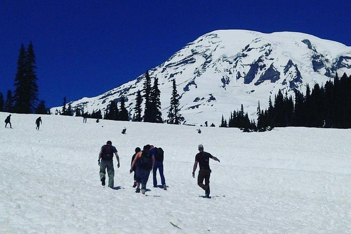 Mt Rainier Private Tour Experience in SUV