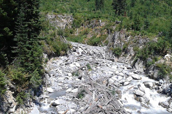Mt Rainier Private Tour Experience in SUV