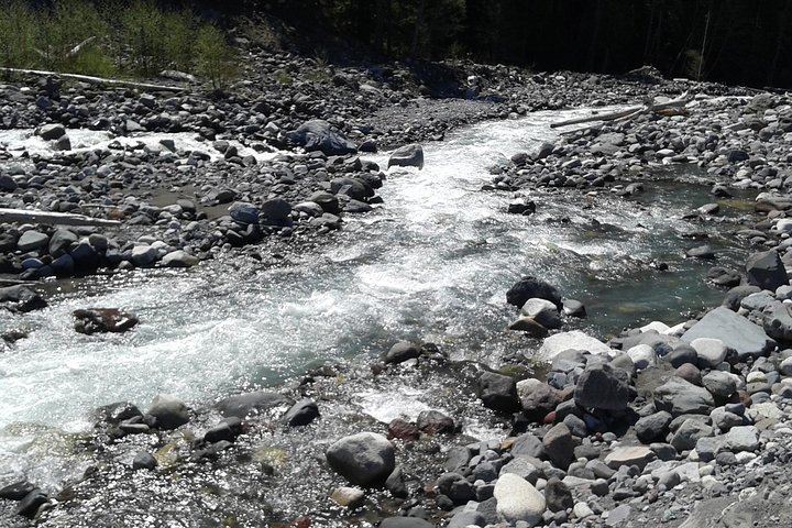 Mt Rainier Private Tour Experience in SUV