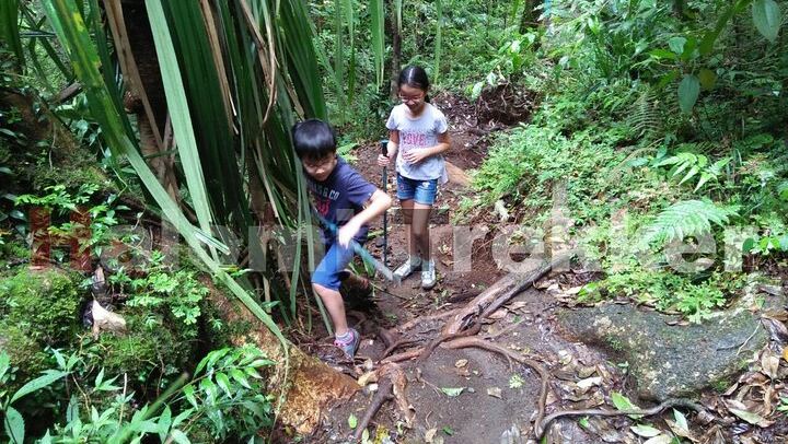 Mt Rinjani Trekking 2 Days 1 Night (Senaru Crater Rim)
