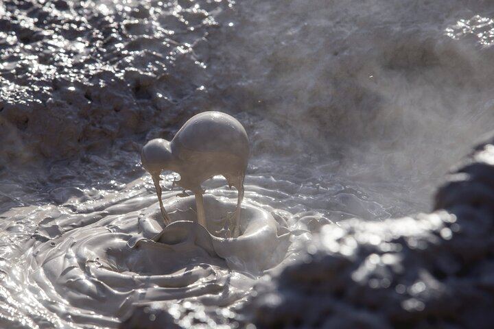 Mudpool