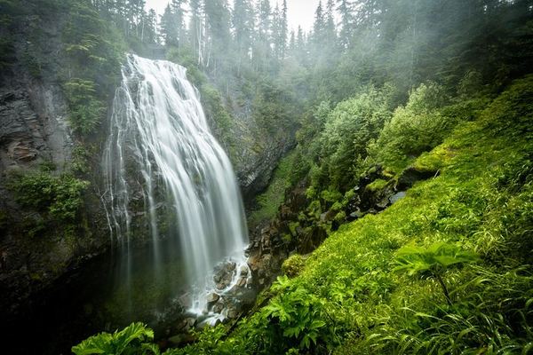 Mount Rainier Highlights: Snowshoes and Sledding Included in the Cold Months
