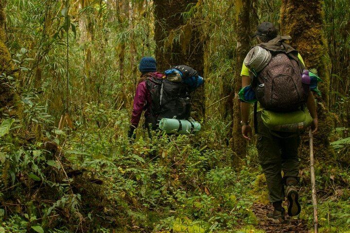 National Park Volcano and tropical forest hike