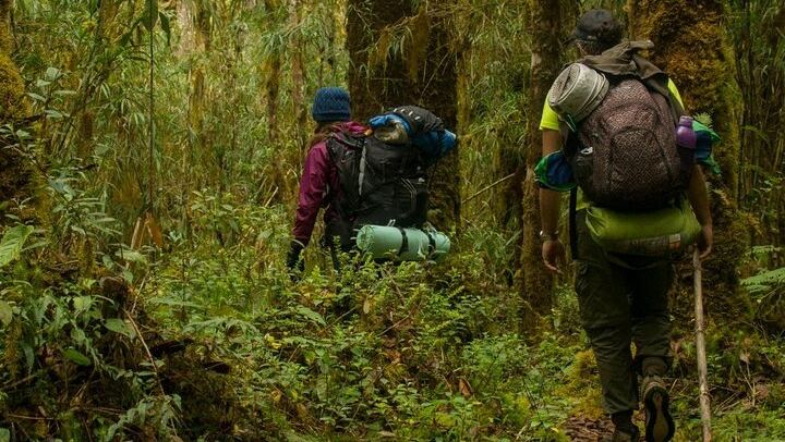 National Park Volcano and tropical forest hike