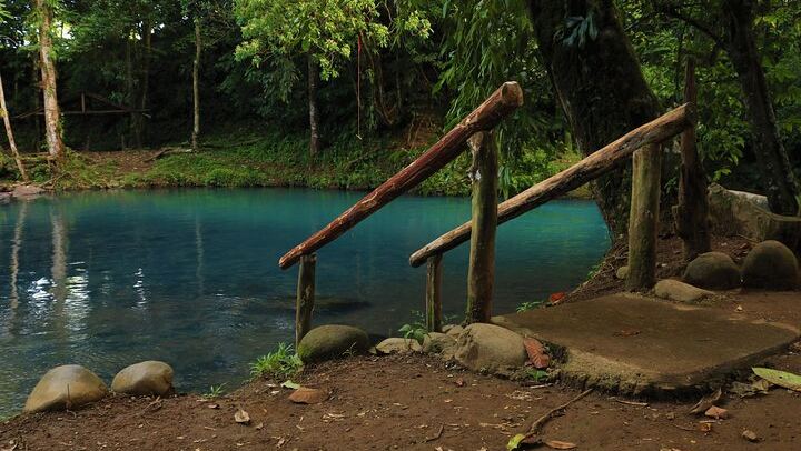 Natural Pool