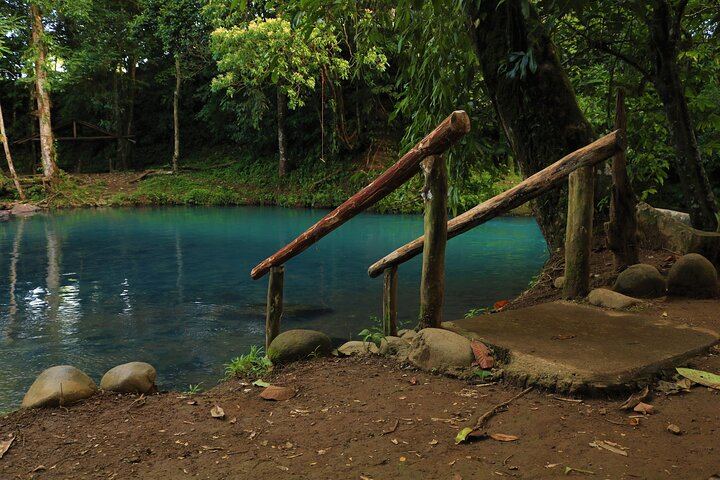 Natural Pool