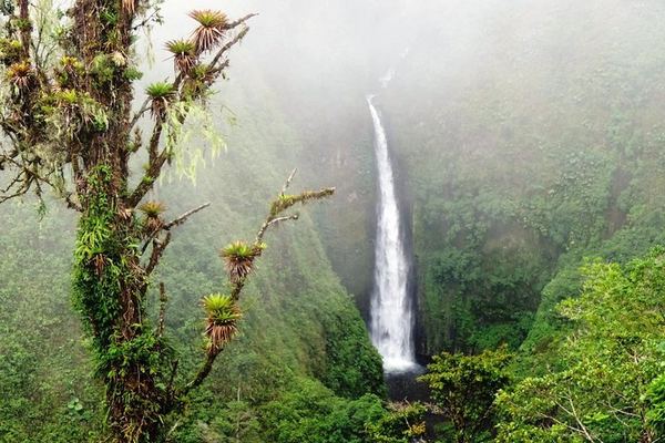Arenal Combo from San Jose: Seven Ziplines and a 150-Foot Rappel over the River