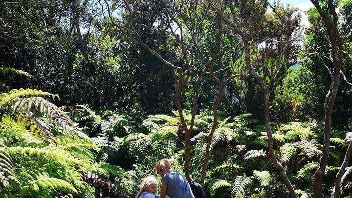 Nature