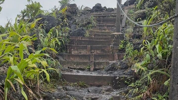 Near the top