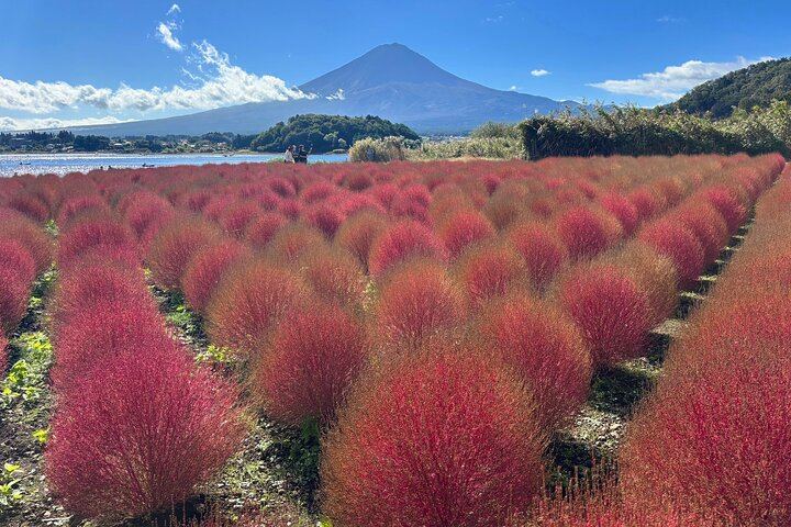 Oishi park