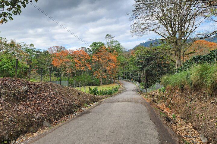On the way to Orosi Valley